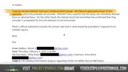 辉瑞员工爆料最新,疫苗研发内幕曝光，真相令人震惊！